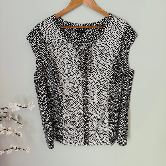 Talbots Polka Dot Colorblock Blouse Size 2X - Picture 2 of 4